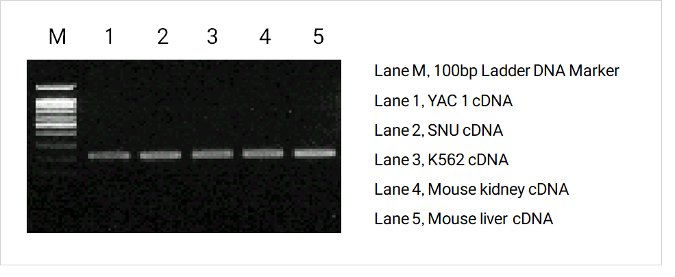 554999acb8e19ff04b495b2e7a231d4f_1777283398_4136.png