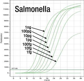 f535848ac0a48ecf0bd6b5406aa98292_1538353447_7094.png