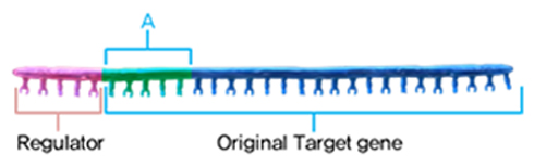 Structure of CLP™Technology image