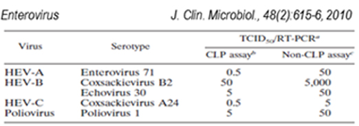 Primer locking by CLP™Homo-dimer image