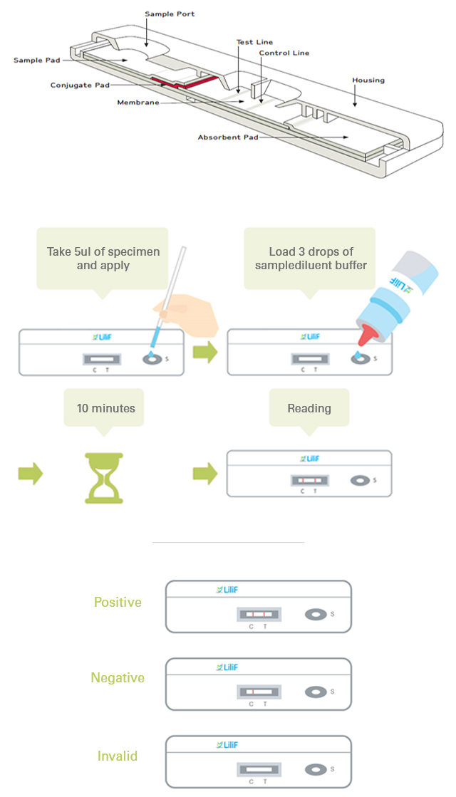 RaLF Technology image