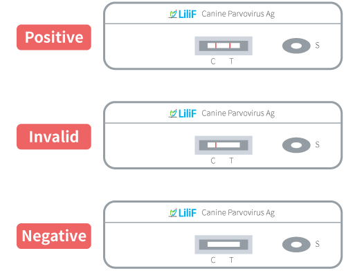 What does a positive clearance parvo test look like