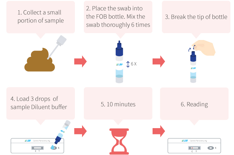 Canine Coronavirus Ag Rapid Test Kit 10 Tests Boca Scientific